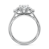 Shop the Classic Diamond Three Stone Platinum Engagement Ring Online