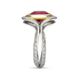 Two Band Ruby and Diamond Two Tone Platinum and Yellow Gold Ring Unique View
